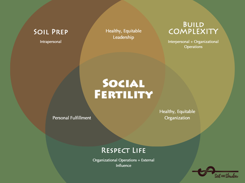 Branded+Social+Fertility+Framework+for+Organizations+copy